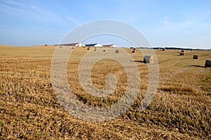 A field with straw bales