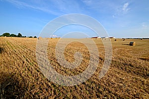 A field with straw bales