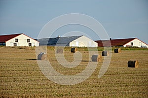 A field with straw bales