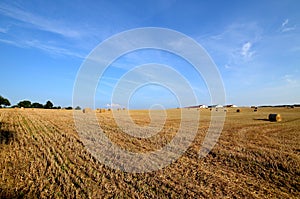 A field with straw bales