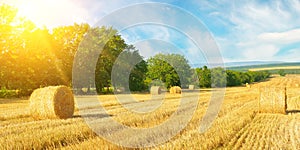 Field with straw bales after harvest on the sky background. Wide photo