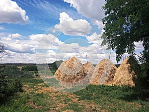 Field with straw haystacks, rural landscape on cloudy sky background