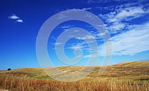 Field in summer at Alentejo region, Portugal