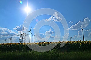 Field of sunflowers and electric wind turbines on a nice blue sky with clouds at sunset.
