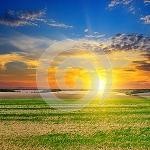 Field, sunrise and blue sky