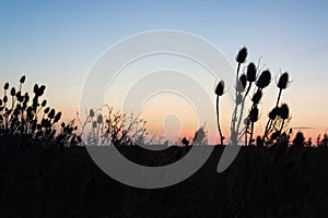 Sunset at the side of the road