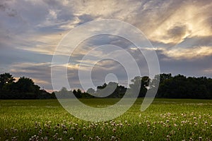 Field with sunset