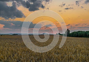 Field and sunset with orange sky in Olesko village in central Bohemia