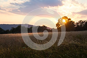 Field at sunset - summer evening in the countryside