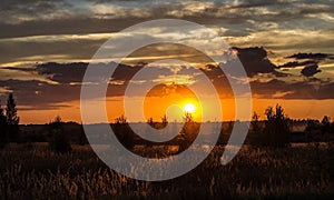 Field at orange sunset