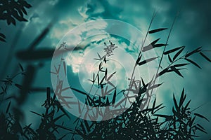 Field of tall grass with a clear blue sky in the background.