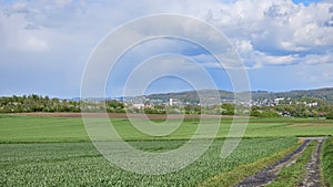 A field of tall grass with a small town in Menden Sauerland photo