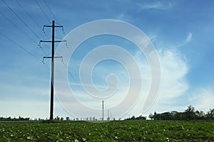 Field with telephone poles under blue sky