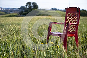 Field Tranquility