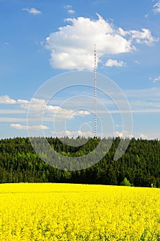 field and transmission tower