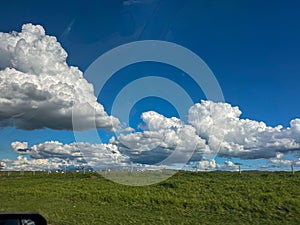 View the Field from the car window