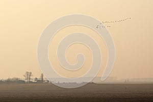 A field with trees is covered in fog. Beautiful sunrise in the countryside in the countryside. A mysterious and quiet place