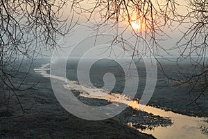 A field with trees is covered in fog. Beautiful sunrise in the countryside in the countryside. A mysterious and quiet place