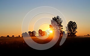 Field with trees in dusk with sunset