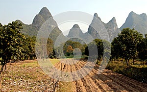 A field and trees near the Li River between Guilin and Yangshuo in Guangxi Province, China