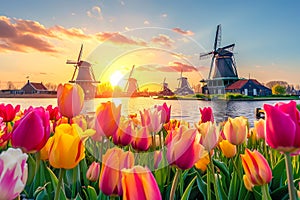 A field of tulips with a large windmill in the background