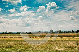 Field under the beautiful clouds