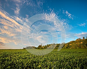 Field under the hill on sunset