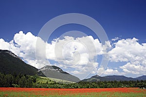 Field under mountains 4