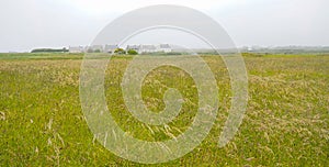 Field in Ushant or Oessant, Brittany France