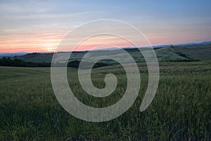 A field in Val d`Orcia also called Valdorcia landscape in Tuscany at sunset. A very popular travel destination in Italy