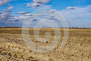 The field is vast and the sky is expansive