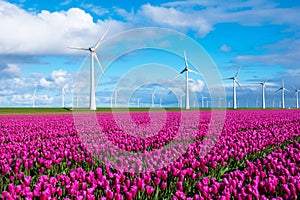 A field of vibrant purple tulips dances in the wind, set against a backdrop of majestic windmill turbines in the