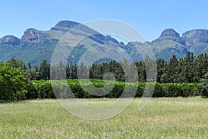 Field with view at the mountains of Blyde river canyon, South Africa