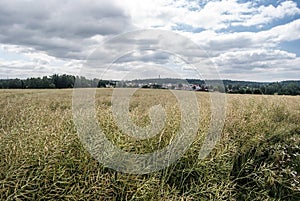 Field with village and small hills on the background