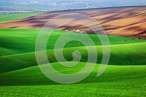 Field waves of South Moravia, Czech