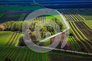 Field waves of South Moravia, Czech