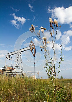 Field weeds and oil pump