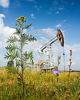 Field weeds and oil pump