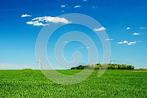 A field with wheat, in the countryside of `Eure et Lire, France.