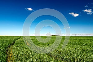 A field with wheat, and a irrigation installation in the background,