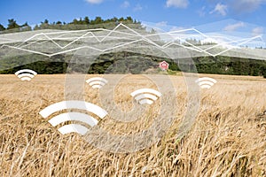 A field of wheat with symbols of wireless data exchange. Digital technologies in agriculture.