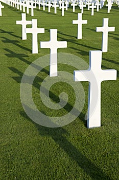 Field with white crosses