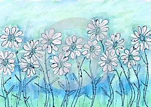 Field of white spring time daisies illustration, handpainted floral image