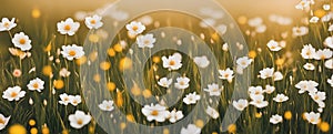 Field of wildflowers closeup image. AI generated illustration