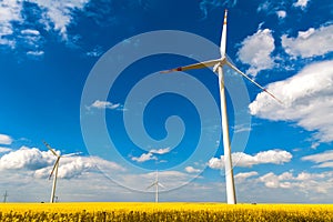 Field wind mill turbines farm landscape