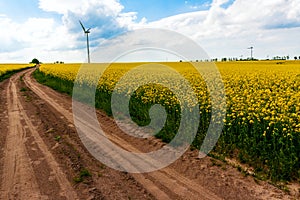 Field wind mill turbines farm landscape