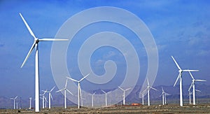 a field of wind turbines