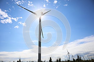 Field with wind turbines. Alternative energy source
