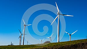 field of wind turbines seen from behind on blue sky
