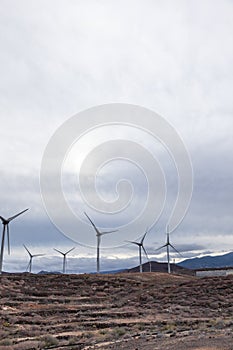 Field with wind turbines under the cloudy sky